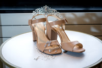 Alex & Sarah Carlson Wedding 1-3-26-12