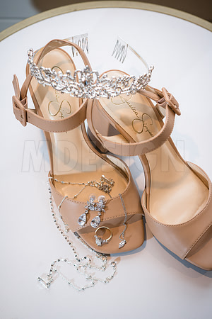 Alex & Sarah Carlson Wedding 1-3-26-13
