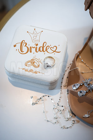 Alex & Sarah Carlson Wedding 1-3-26-19