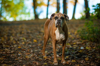 Brown Family Photos 10-23-21-14