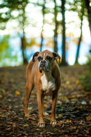 Brown Family Photos 10-23-21-16