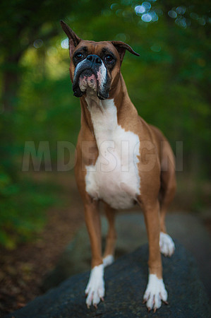 Brown Family Photos 10-23-21-13