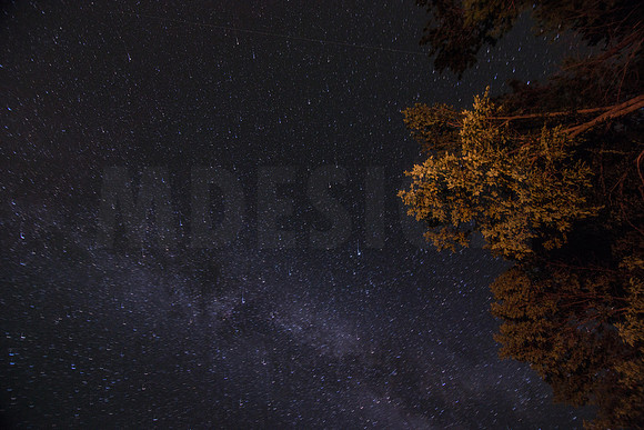 Night Sky Wild Cat Mountain 8-3-13.-2