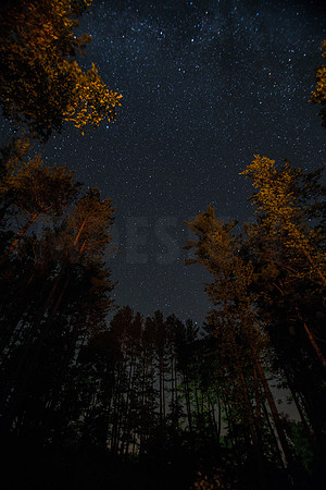 Night Sky Wild Cat Mountain 8-3-13.-20