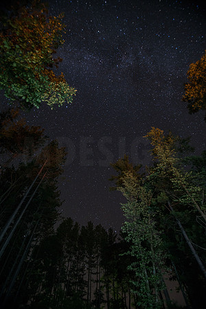 Night Sky Wild Cat Mountain 8-3-13.-21