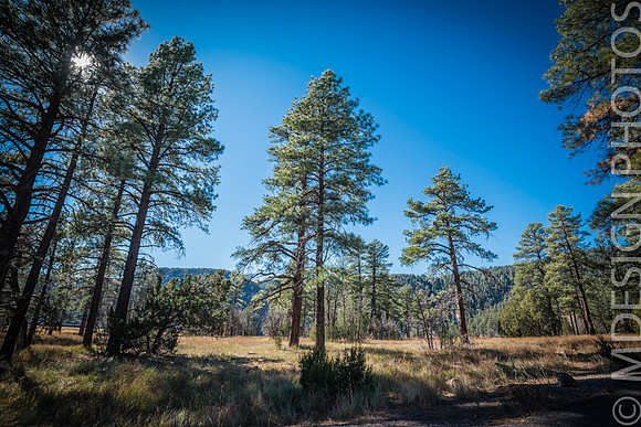 Arizona Trip Best_LowRes 11-1-13.-16