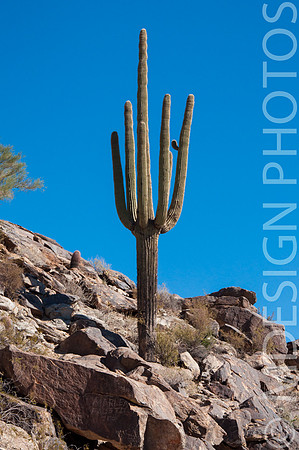 Arizona Trip Best_LowRes 11-1-13.-10