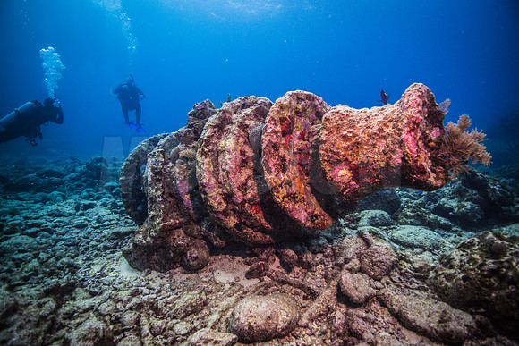 Key Largo Scuba_BEST 2018-5