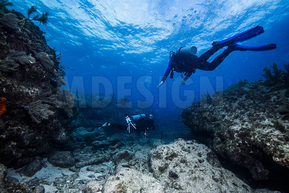 Key Largo Scuba_BEST 2018-8