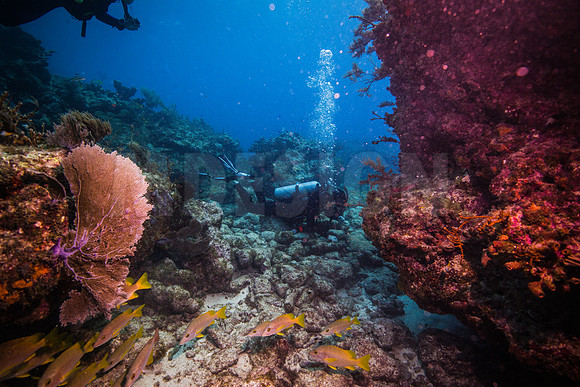 Key Largo Scuba_BEST 2018-9