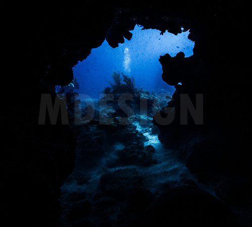 Key Largo Scuba_BEST 2018-14