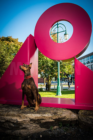 Miles & Asia Paddock 10-9-16-9