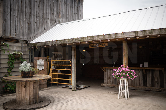 Danielle & Mike Wedding 8-31-19-8