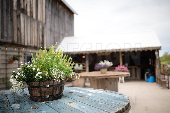 Danielle & Mike Wedding 8-31-19-7